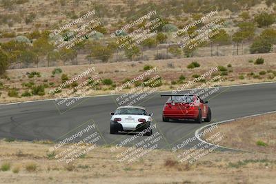 media/May-03-2025-Lucky Dog Racing (Sat) [[206de64b9d]]/Turn 2 (1020am-1120am)/